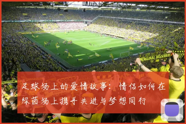 足球场上的爱情故事：情侣如何在绿茵场上携手共进与梦想同行