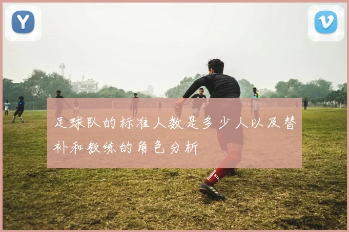 足球队的标准人数是多少人以及替补和教练的角色分析